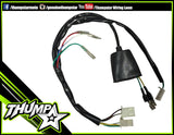 7355 | Wiring Loom | 2 Plug/5 Pin CDI | Splayed Wires
